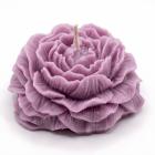 Lilla / Lavendel